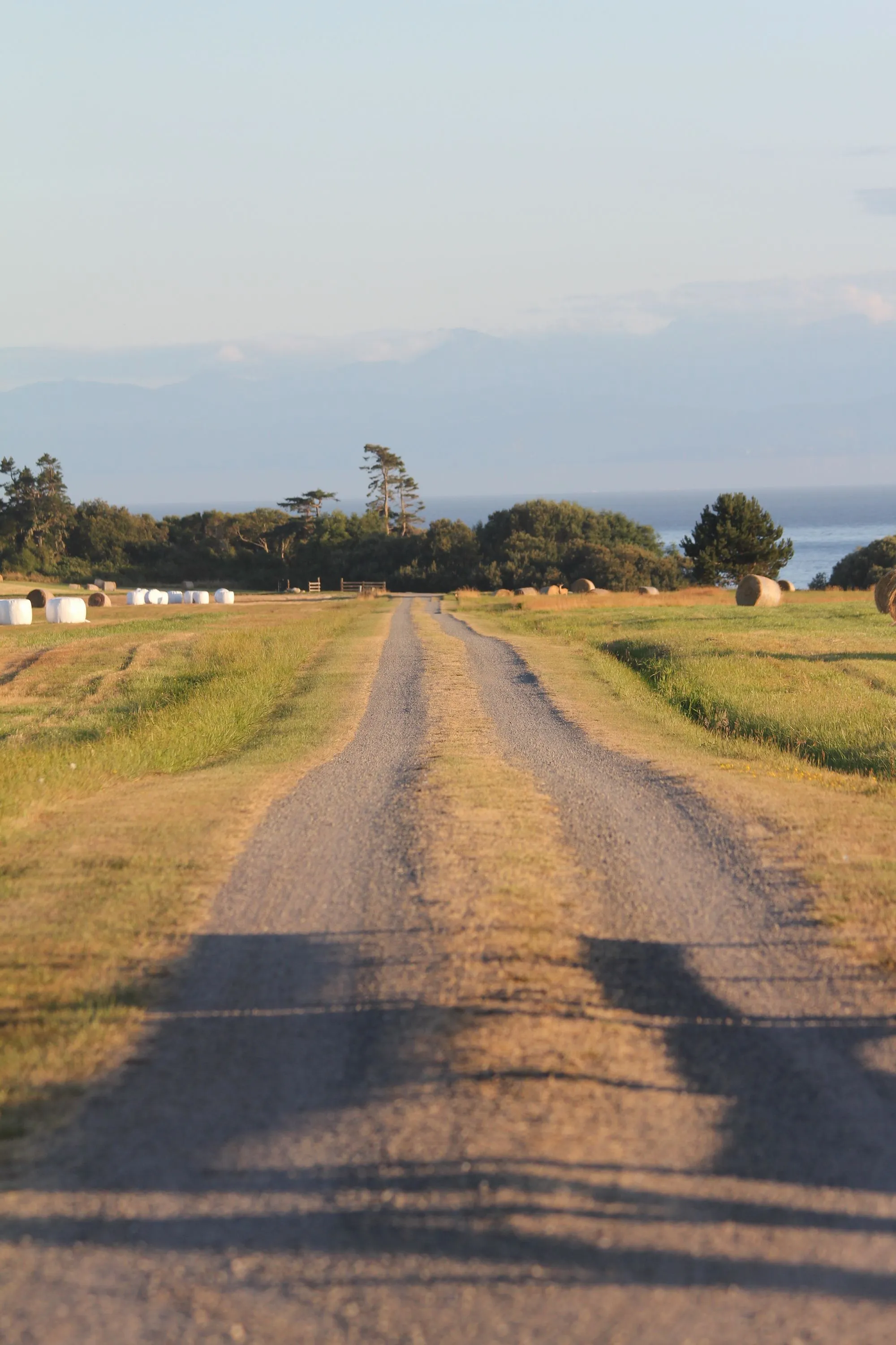 Rural county road through farmland and trees in Wisconsin