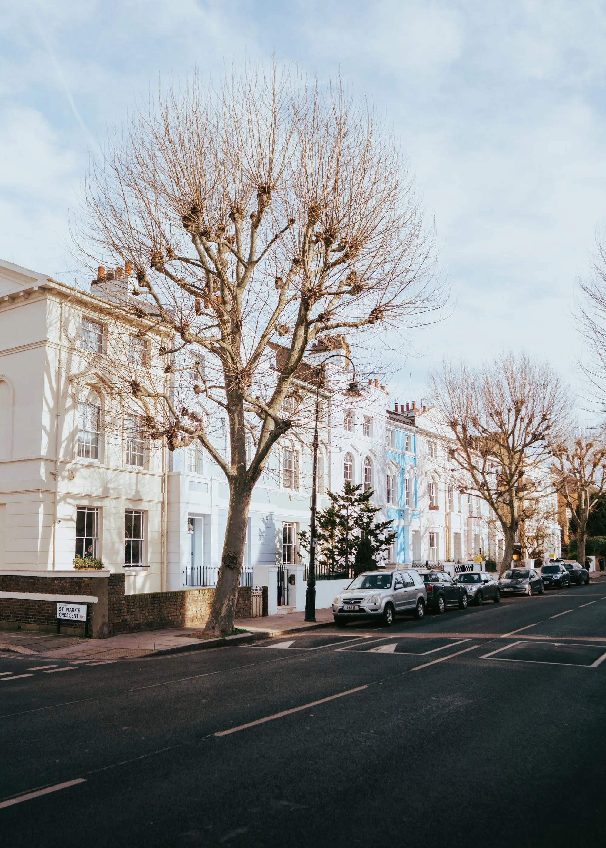 Residential street with Midwestern houses and mature trees
